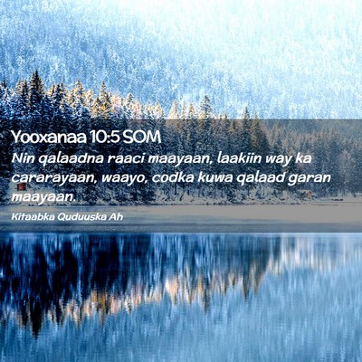 Picture 02 - Yooxanaa 10:5 SOM - Nin qalaadna raaci maayaan, laakiin way ka - Bible Verse Picture