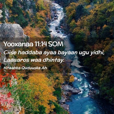 Picture 02 - Yooxanaa 11:14 SOM - Ciise haddaba ayaa bayaan ugu yidhi, Laasaros waa - Bible Verse Picture