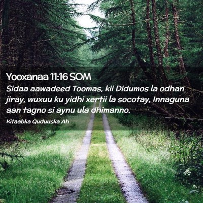 Picture 02 - Yooxanaa 11:16 SOM - Sidaa aawadeed Toomas, kii Didumos la odhan - Bible Verse Picture