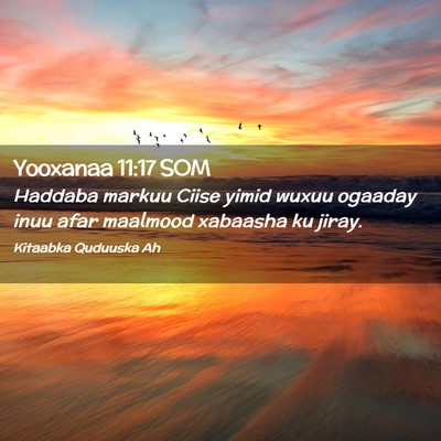 Picture 02 - Yooxanaa 11:17 SOM - Haddaba markuu Ciise yimid wuxuu ogaaday inuu - Bible Verse Picture