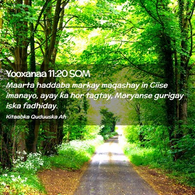 Picture 02 - Yooxanaa 11:20 SOM - Maarta haddaba markay maqashay in Ciise imanayo, - Bible Verse Picture