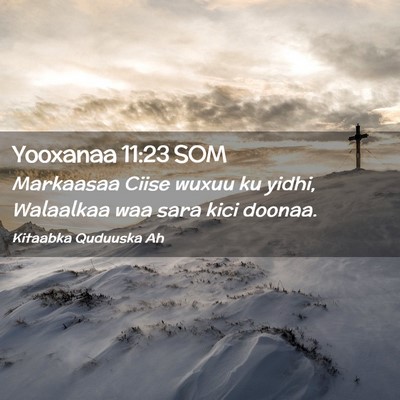 Picture 02 - Yooxanaa 11:23 SOM - Markaasaa Ciise wuxuu ku yidhi, Walaalkaa waa - Bible Verse Picture