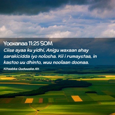 Picture 02 - Yooxanaa 11:25 SOM - Ciise ayaa ku yidhi, Anigu waxaan ahay - Bible Verse Picture