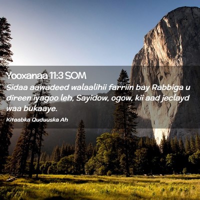 Picture 02 - Yooxanaa 11:3 SOM - Sidaa aawadeed walaalihii farriin bay Rabbiga u - Bible Verse Picture