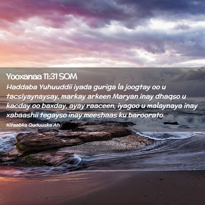 Picture 02 - Yooxanaa 11:31 SOM - Haddaba Yuhuuddii iyada guriga la joogtay oo u - Bible Verse Picture