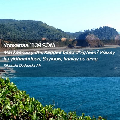 Picture 02 - Yooxanaa 11:34 SOM - Markaasuu yidhi, Xaggee baad dhigteen? Waxay ku - Bible Verse Picture