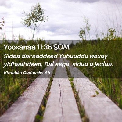 Picture 02 - Yooxanaa 11:36 SOM - Sidaa daraaddeed Yuhuuddu waxay yidhaahdeen, Bal - Bible Verse Picture