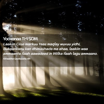 Picture 02 - Yooxanaa 11:4 SOM - Laakiin Ciise markuu taas maqlay wuxuu yidhi, - Bible Verse Picture