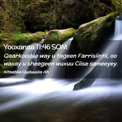 Picture 02 - Yooxanaa 11:46 SOM - Qaarkoodse way u tageen Farrisiintii, oo waxay u - Bible Verse Picture