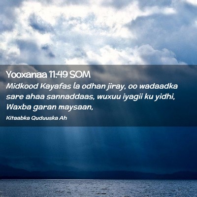 Picture 02 - Yooxanaa 11:49 SOM - Midkood Kayafas la odhan jiray, oo wadaadka sare - Bible Verse Picture