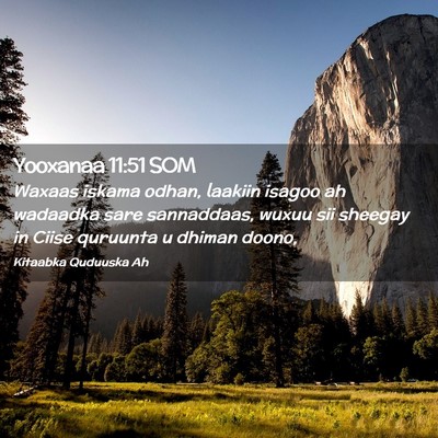 Picture 02 - Yooxanaa 11:51 SOM - Waxaas iskama odhan, laakiin isagoo ah wadaadka - Bible Verse Picture