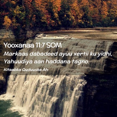 Picture 02 - Yooxanaa 11:7 SOM - Markaas dabadeed ayuu xertii ku yidhi, Yahuudiya - Bible Verse Picture