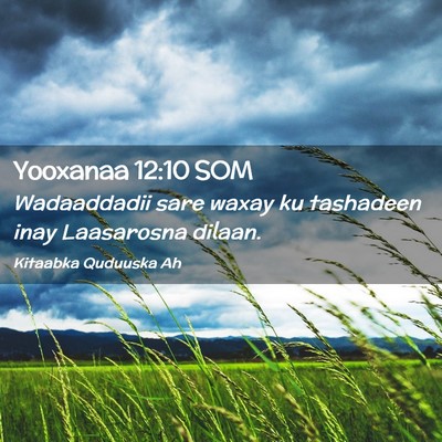 Picture 02 - Yooxanaa 12:10 SOM - Wadaaddadii sare waxay ku tashadeen inay - Bible Verse Picture
