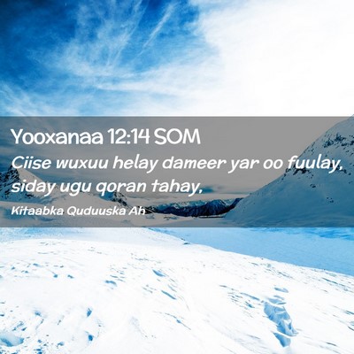 Picture 02 - Yooxanaa 12:14 SOM - Ciise wuxuu helay dameer yar oo fuulay, siday ugu - Bible Verse Picture