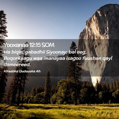 Picture 02 - Yooxanaa 12:15 SOM - Ha biqin, gabadhii Siyoonay; bal eeg, Boqorkaagu - Bible Verse Picture