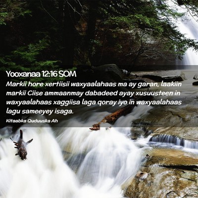 Picture 02 - Yooxanaa 12:16 SOM - Markii hore xertiisii waxyaalahaas ma ay garan, - Bible Verse Picture