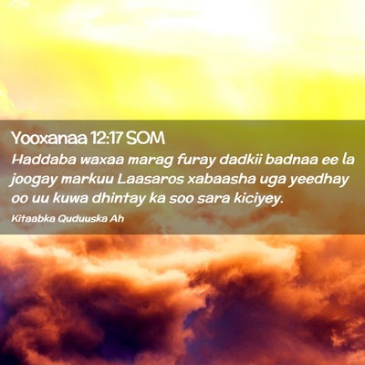 Picture 02 - Yooxanaa 12:17 SOM - Haddaba waxaa marag furay dadkii badnaa ee la - Bible Verse Picture