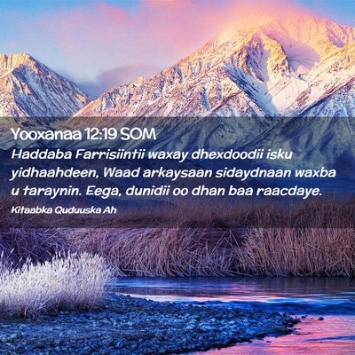 Picture 02 - Yooxanaa 12:19 SOM - Haddaba Farrisiintii waxay dhexdoodii isku - Bible Verse Picture