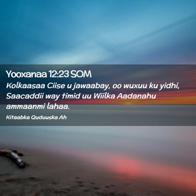 Picture 02 - Yooxanaa 12:23 SOM - Kolkaasaa Ciise u jawaabay, oo wuxuu ku yidhi, - Bible Verse Picture