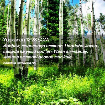 Picture 02 - Yooxanaa 12:28 SOM - Aabbow, magacaaga ammaan. Haddaba waxaa samada ka - Bible Verse Picture