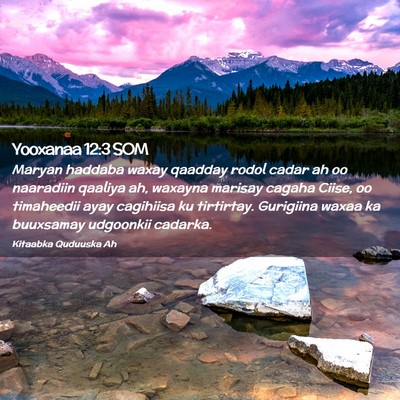 Picture 02 - Yooxanaa 12:3 SOM - Maryan haddaba waxay qaadday rodol cadar ah oo - Bible Verse Picture