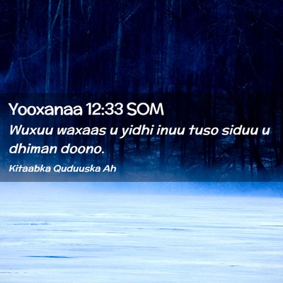 Picture 02 - Yooxanaa 12:33 SOM - Wuxuu waxaas u yidhi inuu tuso siduu u dhiman - Bible Verse Picture