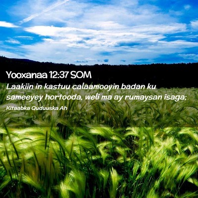 Picture 02 - Yooxanaa 12:37 SOM - Laakiin in kastuu calaamooyin badan ku sameeyey - Bible Verse Picture