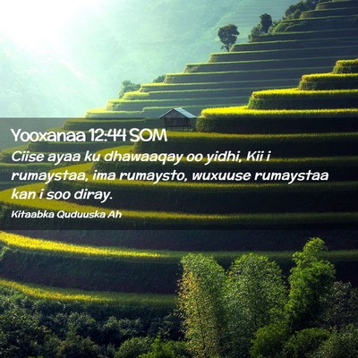 Picture 02 - Yooxanaa 12:44 SOM - Ciise ayaa ku dhawaaqay oo yidhi, Kii i - Bible Verse Picture
