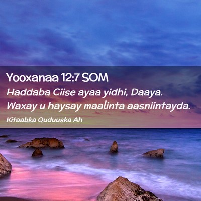Picture 02 - Yooxanaa 12:7 SOM - Haddaba Ciise ayaa yidhi, Daaya. Waxay u haysay - Bible Verse Picture
