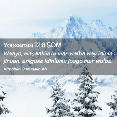 Picture 02 - Yooxanaa 12:8 SOM - Waayo, masaakiintu mar walba way idinla jiraan, - Bible Verse Picture