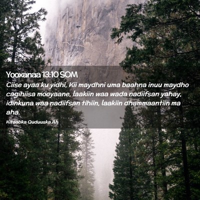 Picture 02 - Yooxanaa 13:10 SOM - Ciise ayaa ku yidhi, Kii maydhni uma baahna inuu - Bible Verse Picture