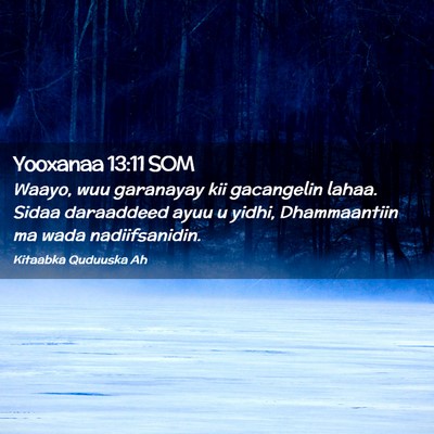 Picture 02 - Yooxanaa 13:11 SOM - Waayo, wuu garanayay kii gacangelin lahaa. Sidaa - Bible Verse Picture