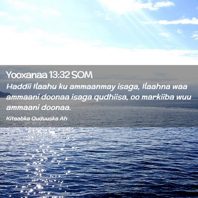Picture 02 - Yooxanaa 13:32 SOM - Haddii Ilaahu ku ammaanmay isaga, Ilaahna waa - Bible Verse Picture