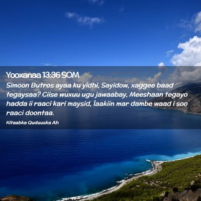 Picture 02 - Yooxanaa 13:36 SOM - Simoon Butros ayaa ku yidhi, Sayidow, xaggee baad - Bible Verse Picture