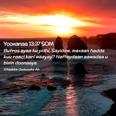 Picture 02 - Yooxanaa 13:37 SOM - Butros ayaa ku yidhi, Sayidow, maxaan hadda kuu - Bible Verse Picture