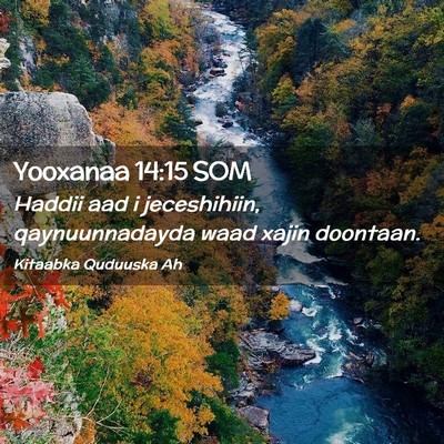 Picture 02 - Yooxanaa 14:15 SOM - Haddii aad i jeceshihiin, qaynuunnadayda waad - Bible Verse Picture