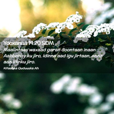 Picture 02 - Yooxanaa 14:20 SOM - Maalintaas waxaad garan doontaan inaan Aabbahay - Bible Verse Picture