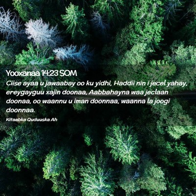 Picture 02 - Yooxanaa 14:23 SOM - Ciise ayaa u jawaabay oo ku yidhi, Haddii nin i - Bible Verse Picture