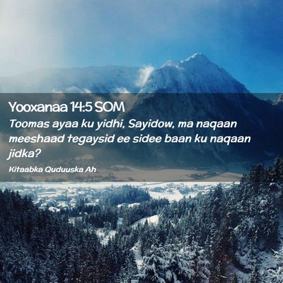 Picture 02 - Yooxanaa 14:5 SOM - Toomas ayaa ku yidhi, Sayidow, ma naqaan meeshaad - Bible Verse Picture