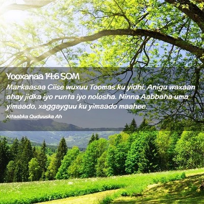 Picture 02 - Yooxanaa 14:6 SOM - Markaasaa Ciise wuxuu Toomas ku yidhi, Anigu - Bible Verse Picture