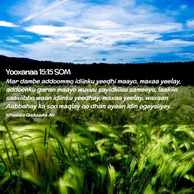 Picture 02 - Yooxanaa 15:15 SOM - Mar dambe addoommo idiinku yeedhi maayo, maxaa - Bible Verse Picture