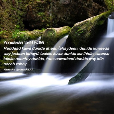 Picture 02 - Yooxanaa 15:19 SOM - Haddaad kuwa dunida ahaan lahaydeen, dunidu - Bible Verse Picture
