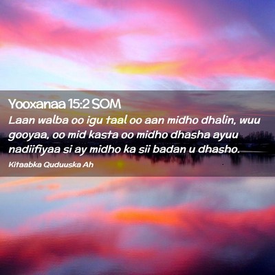 Picture 02 - Yooxanaa 15:2 SOM - Laan walba oo igu taal oo aan midho dhalin, wuu - Bible Verse Picture