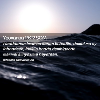 Picture 02 - Yooxanaa 15:22 SOM - Haddaanan iman oo aanan la hadlin, dembi ma ay - Bible Verse Picture