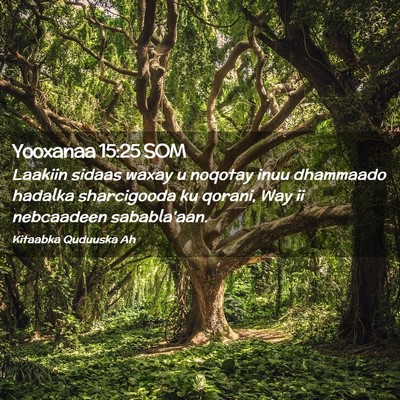 Picture 02 - Yooxanaa 15:25 SOM - Laakiin sidaas waxay u noqotay inuu dhammaado - Bible Verse Picture