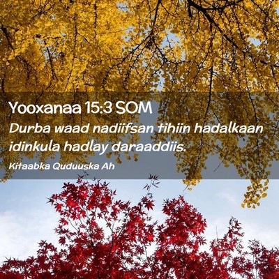 Picture 02 - Yooxanaa 15:3 SOM - Durba waad nadiifsan tihiin hadalkaan idinkula - Bible Verse Picture