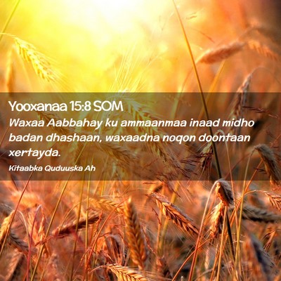Picture 02 - Yooxanaa 15:8 SOM - Waxaa Aabbahay ku ammaanmaa inaad midho badan - Bible Verse Picture
