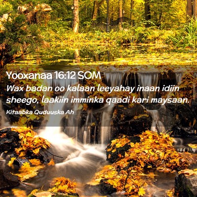 Picture 02 - Yooxanaa 16:12 SOM - Wax badan oo kalaan leeyahay inaan idiin sheego, - Bible Verse Picture