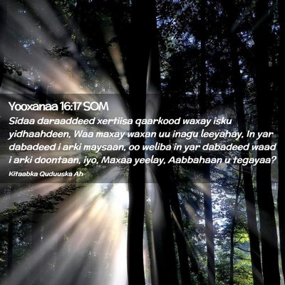 Picture 02 - Yooxanaa 16:17 SOM - Sidaa daraaddeed xertiisa qaarkood waxay isku - Bible Verse Picture
