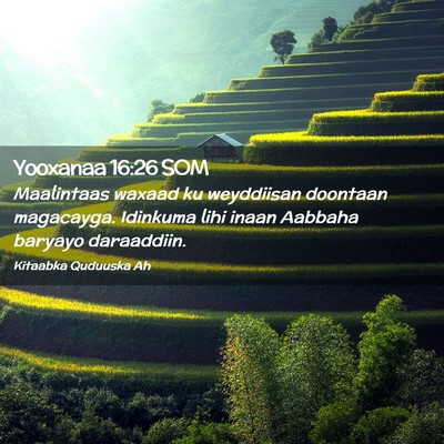 Picture 02 - Yooxanaa 16:26 SOM - Maalintaas waxaad ku weyddiisan doontaan - Bible Verse Picture